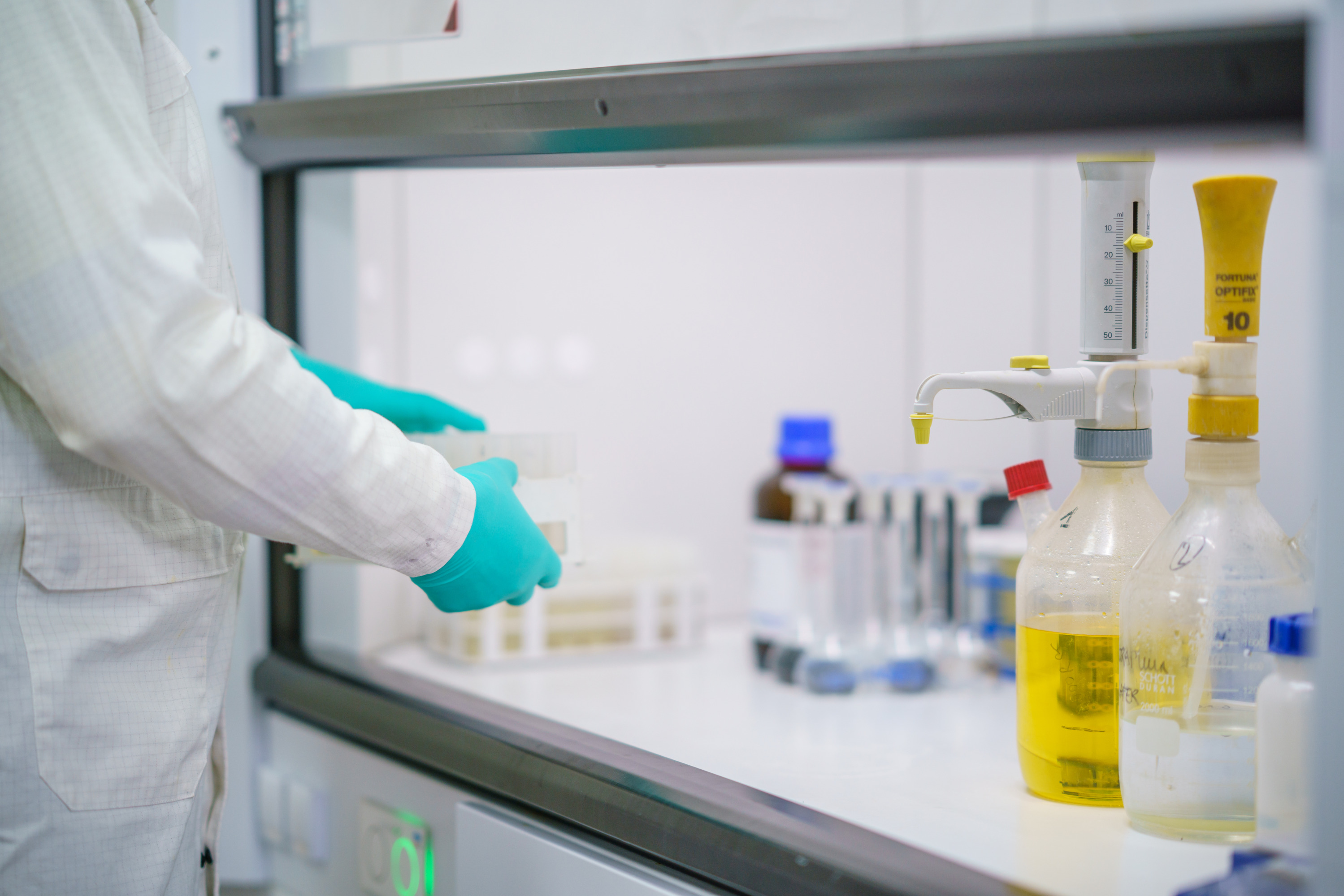 Campine Tweede Dag Campine Tweede Dag